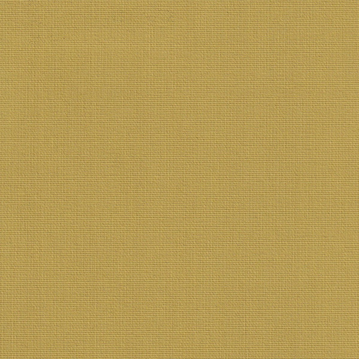 Roler Skiasis Monoxromo 1250.8259 Mustard