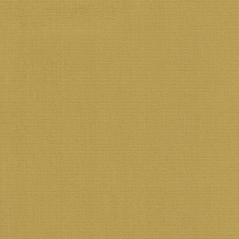 Roler Skiasis Monoxromo 1250.8259 Mustard