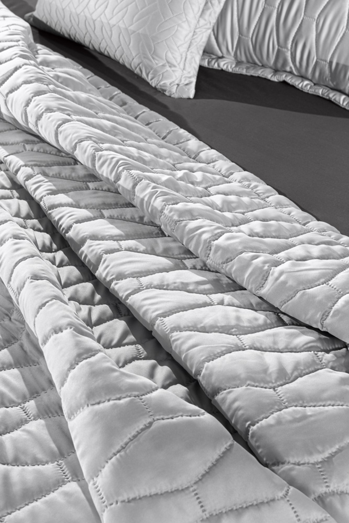 Guy Laroche Set Kouberli King Size Art Silver 240x250cm me Duo Diakosmitikes Maxilarothikes 50x70cm