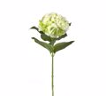 ZAROS Texniti Diakosmitiki Megli Ortansia ''Lime'' me 6 fulla 80cm AX460