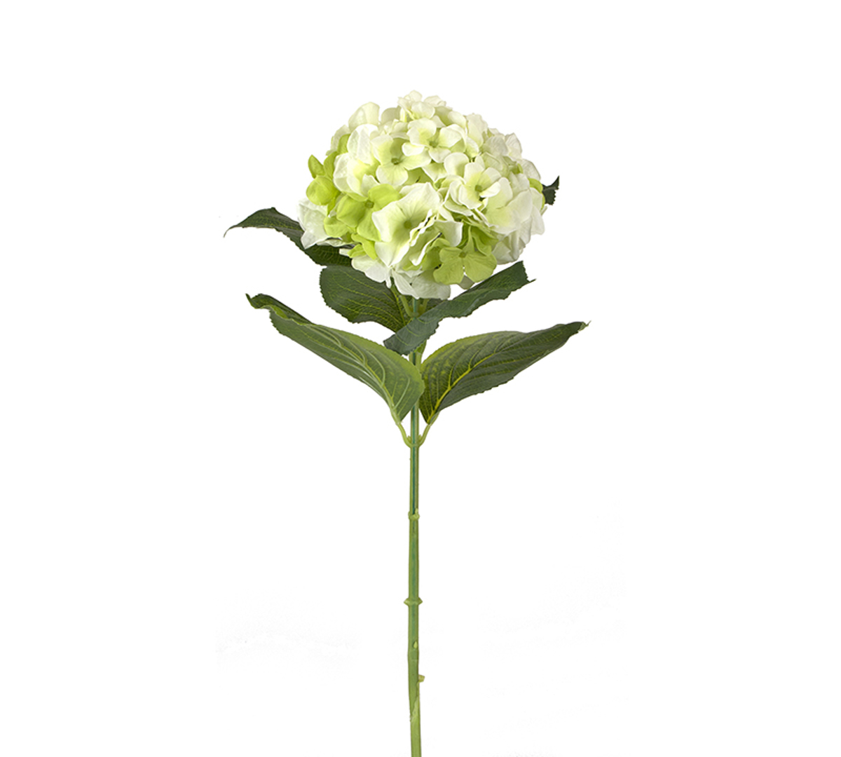 ZAROS Texniti Diakosmitiki Megli Ortansia ''Lime'' me 6 fulla 80cm AX460