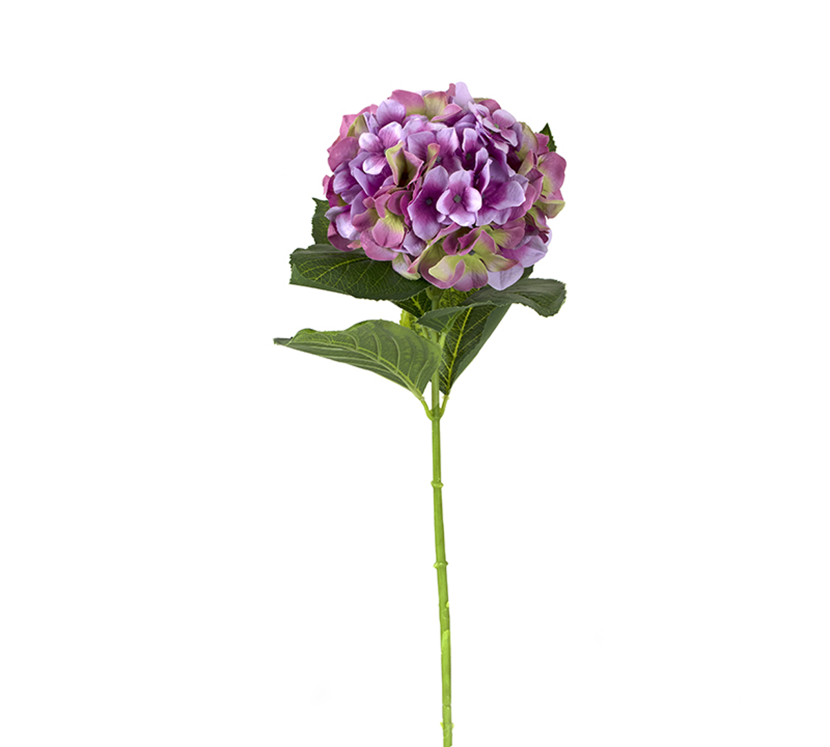 ZAROS Texniti Diakosmitiki Ortansia Bioleti me 6 fulla 80cm AX462