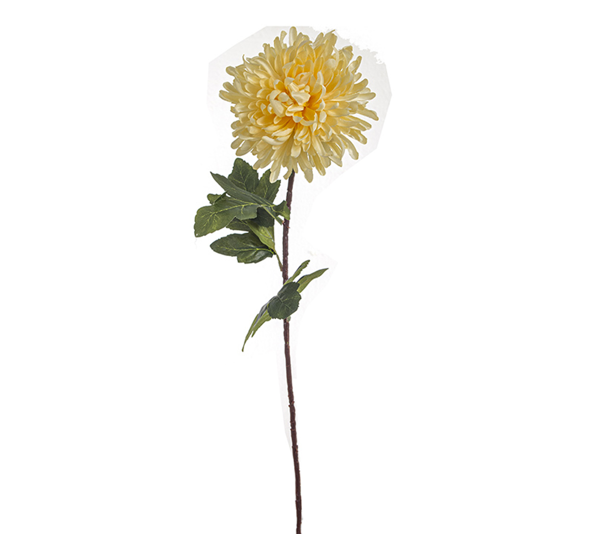 ZAROS Texnito Diakosmitiko Xrusanthemo Ekrou 70cm AX682