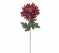 Zaros Xrusanthemo ''Indian Red'' 81cm AX816