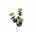 ZAROS Diakosmitiko Kladi 'Bibourno' me Lefka Anthi 56cm BM112