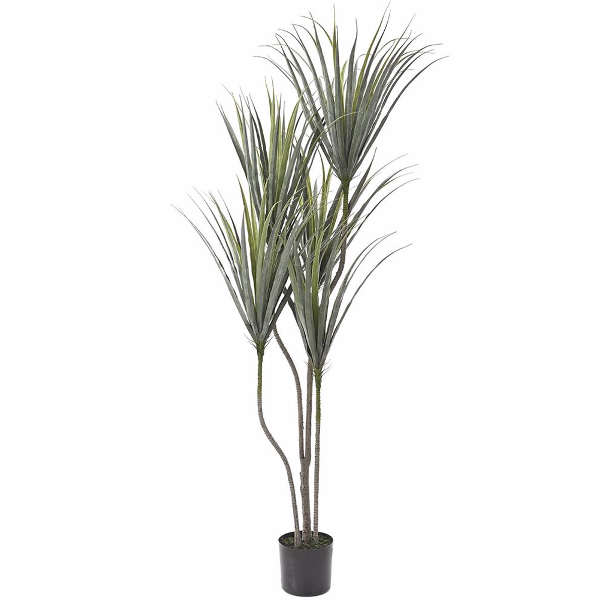 Iliadis Diakosmitiko Futo Sisal Plastiko me 20ek Gastra u205ek 76894