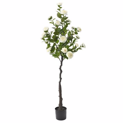 ILIADIS ΚΡΕΜ ΚΑΜΕΛΙΑ ΔΕΝΤΡΟ ΣΕ ΓΛΑΣΤΡΑ 160cm 76904