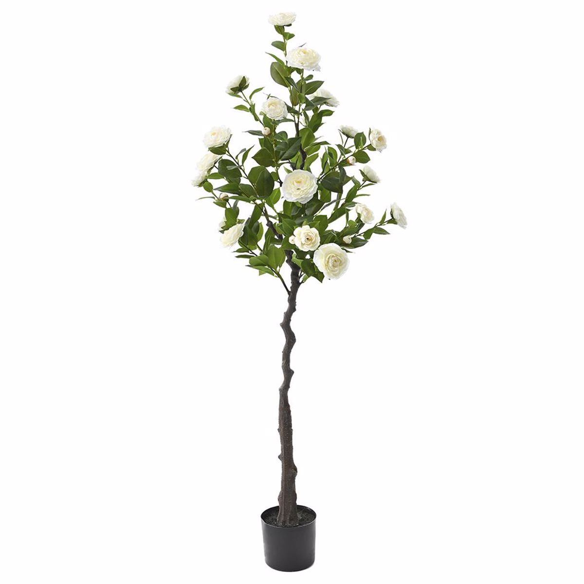 ILIADIS KREM KAMELIA DENTRO SE GASTRA 160cm 76904