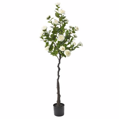 ILIADIS ΚΡΕΜ ΚΑΜΕΛΙΑ ΔΕΝΤΡΟ ΣΕ ΓΛΑΣΤΡΑ 160cm 76904