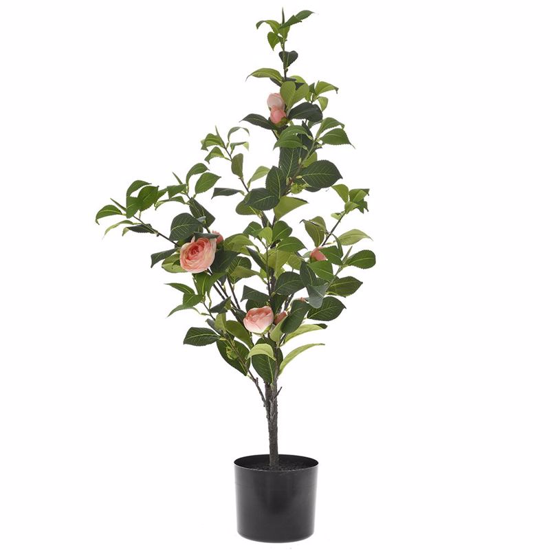 Iliadis Texnito Dentro Somon Kamelia 90cm se Mavri Plastiki Gastra 77034
