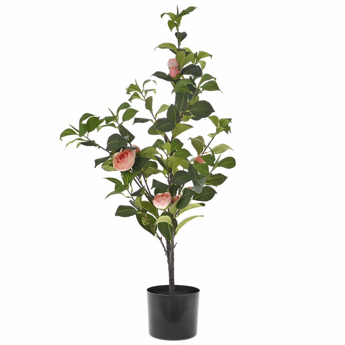 Iliadis Texnito Dentro Somon Kamelia 90cm se Mavri Plastiki Gastra 77034
