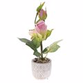 Iliadis Roz Triantafullia 28 ek se Tsimentenia Gastra 77056
