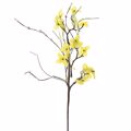 Iliadis Kitrino Anoixiatiko Kladaki 46cm 77342