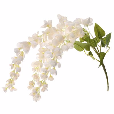 Iliadis Κρεμαστή Ρίζα Λευκή Ακακία 60cm 78026
