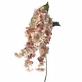 ILIADIS KREMASTO KLADI KREM ORTANSIA 120cm 78050