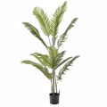 Iliadis Futo Foinikas Areka me 14 Fulla se Plastiki Gastra 150cm 80893