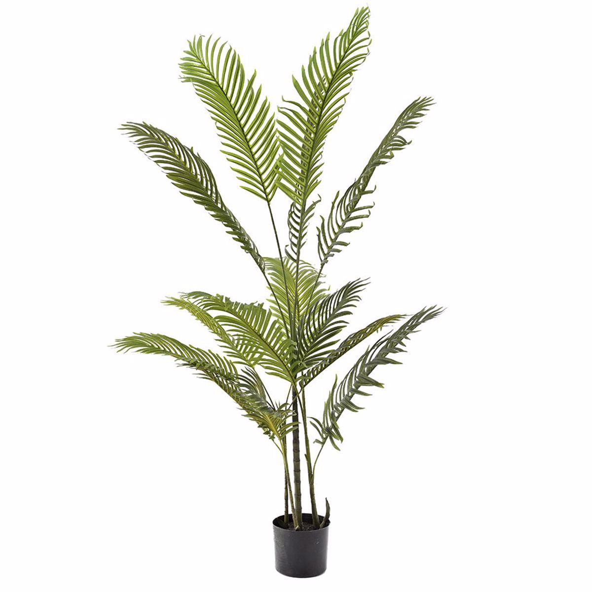 Iliadis Futo Foinikas Areka me 14 Fulla se Plastiki Gastra 150cm 80893