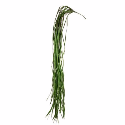 Iliadis Ρίζα Κρεμαστό Γρασίδι 155cm 84702
