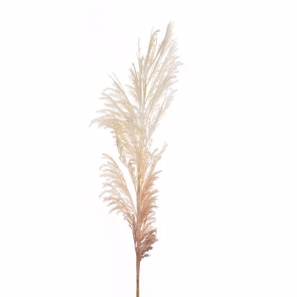 Iliadis Κλαδί Pampas Φυσικό/Εκρού 145cm 84717