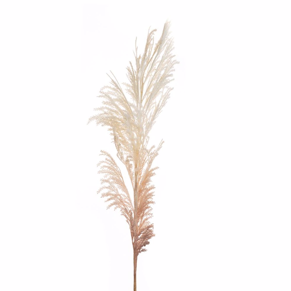Iliadis Kladi Pampas Fusiko/Ekrou 145cm 84717