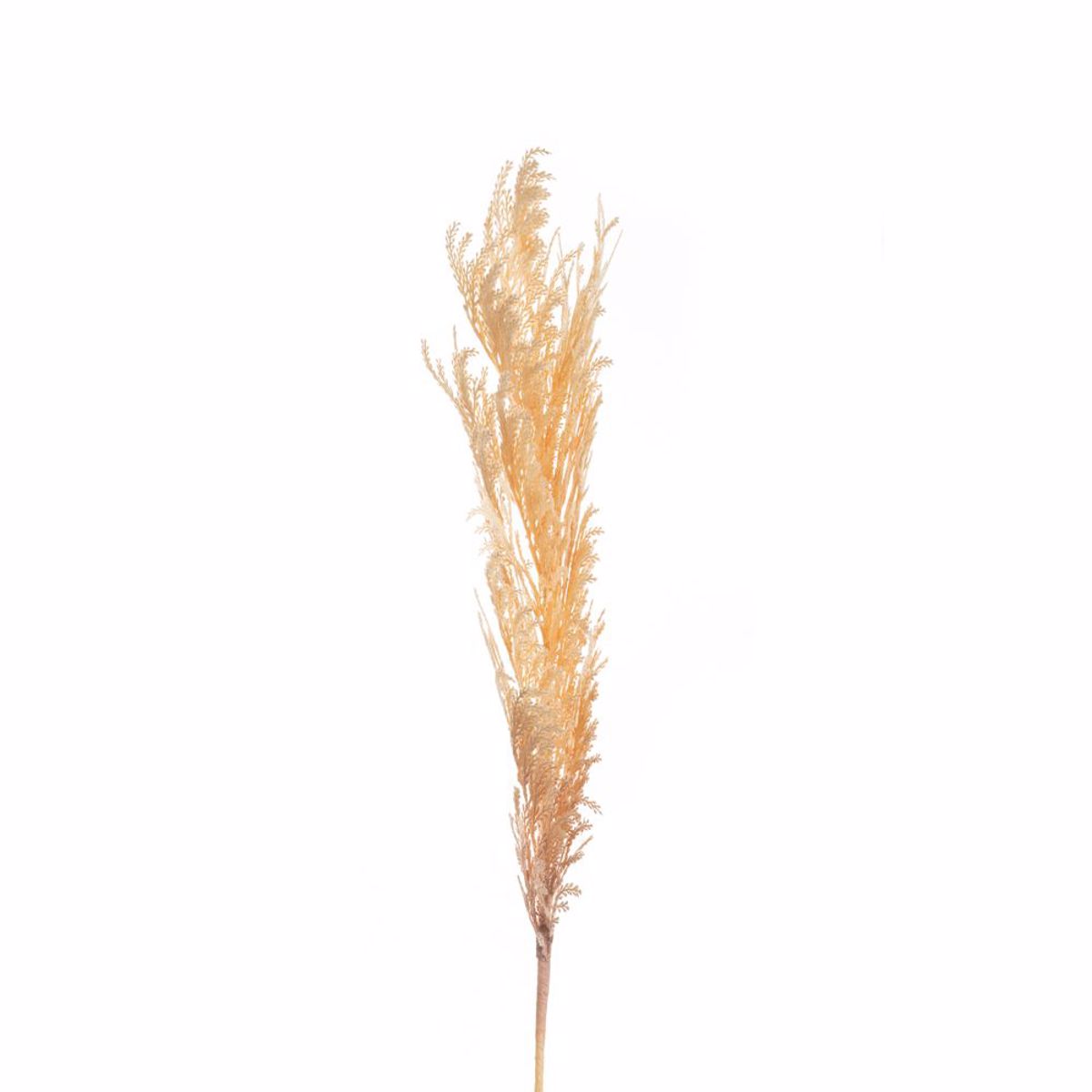Iliadis Kladi Pampas Fusiko Kitrino 145cm 84718