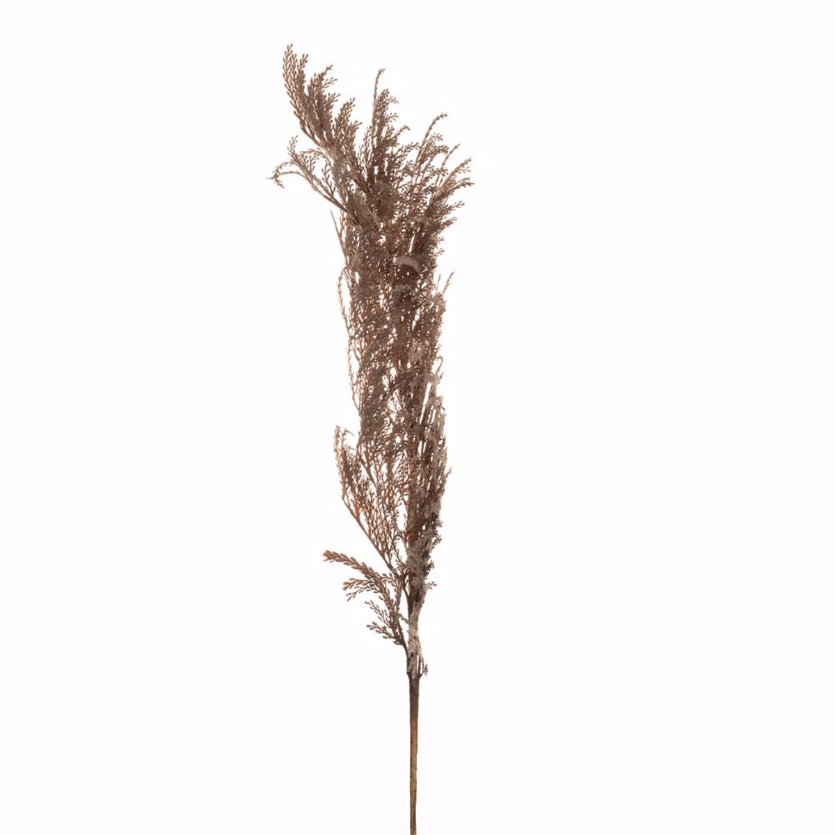 Iliadis Kladi Pampas Fusiko Kafe 145cm 84719