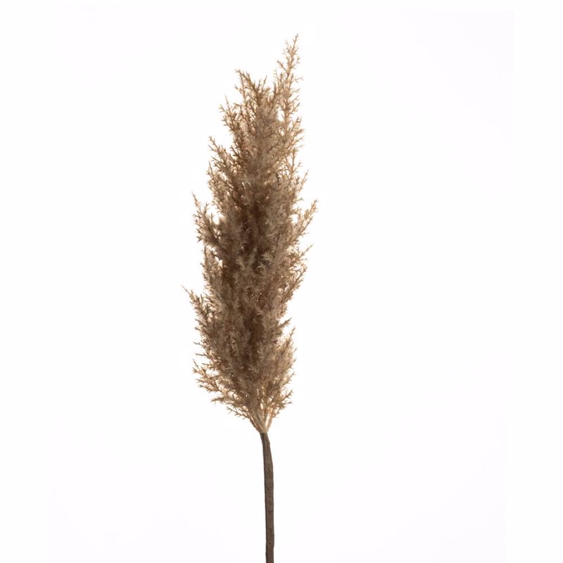 Iliadis Fusiko Skouro Kafe Kladi Pampas 84721