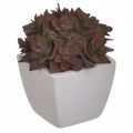 Inart Texnito Diakosmitiko Futo se Gastra 8X8X11 3-85-084-0102