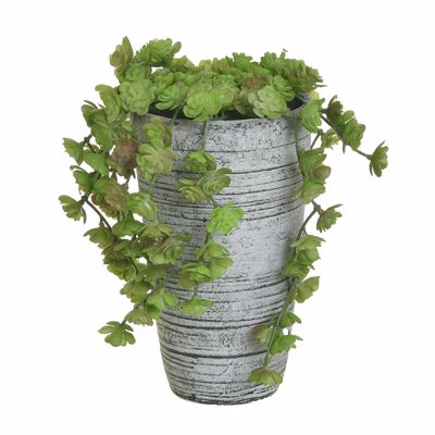 Inart Φυτό σε Γλάστρα 21cm 3-85-475-0298
