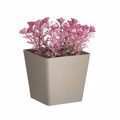 Click Futo se Gastraki Diafora Xromata Pl. 6-85-033-0003