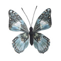 Inart Petalouda ufasmatini Glazia Mavri u36 3-70-192-0139