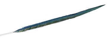 Φτερό Πράσινο Μπλε 55εκ FTE221K6 Espiel