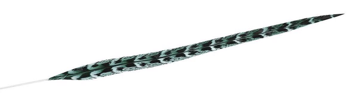 Ftero Prasino 55ek FTE225K6 Espiel
