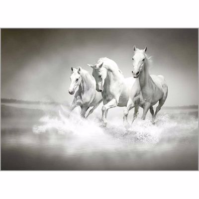 Ρόλερ με Ψηφιακή Εκτύπωση 'White Horses' Α1306