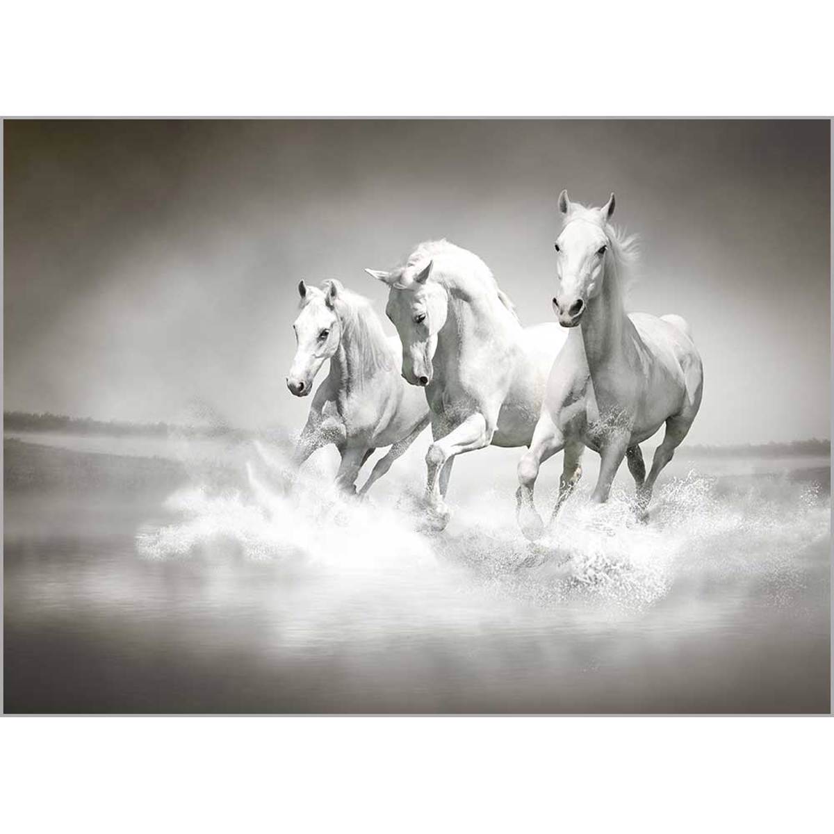 Roler me Psifiaki Ektuposi 'White Horses' A1306