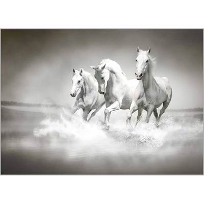 Ρόλερ με Ψηφιακή Εκτύπωση 'White Horses' Α1306