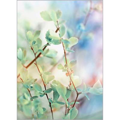 Ρόλερ με Ψηφιακή Εκτύπωση 'Spring Leaves' Α1513
