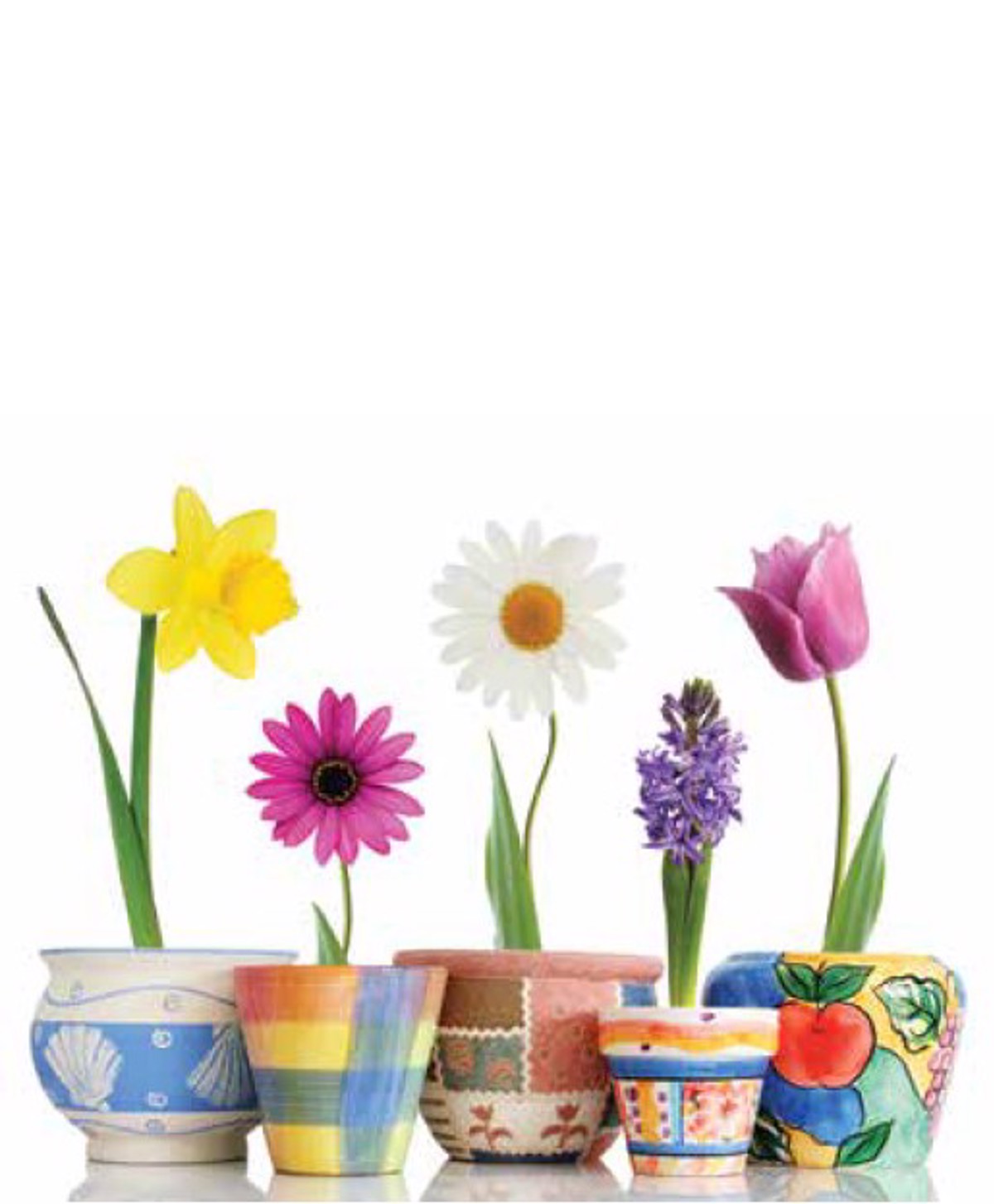 Roler me Psifiaki Ektuposi Poluxroma Louloudia ''Spring Mood'' E312