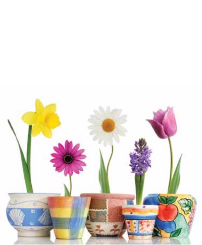 Ρόλερ με Ψηφιακή Εκτύπωση Πολύχρωμα Λουλούδια ''Spring Mood'' E312