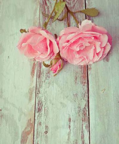 Ρόλερ με Ψηφιακή Εκτύπωση 'Vintage Flowers' E428