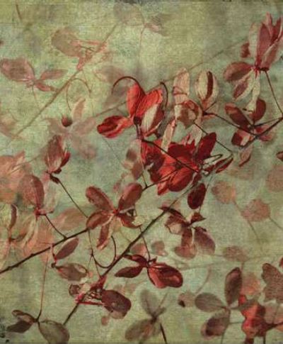 Ρόλερ με Ψηφιακή Εκτύπωση 'Retro Floral' E437