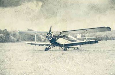 Ρόλερ με Ψηφιακή Εκτύπωση 'Vintage Biplane' E442
