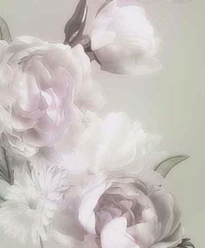 Ρόλερ με Ψηφιακή Εκτύπωση 'White Roses' E449