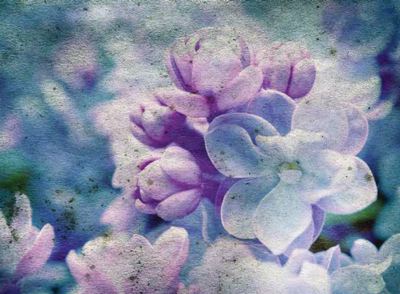 Ρόλερ με Ψηφιακή Εκτύπωση 'Spring Lilac' E453
