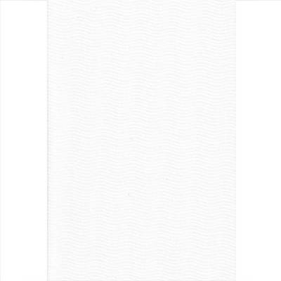 Elite Blinds Ρόλερ Μερικής Σκίασης με Kυματιστές Ρίγες Λευκό 'Nastex' 7002-01