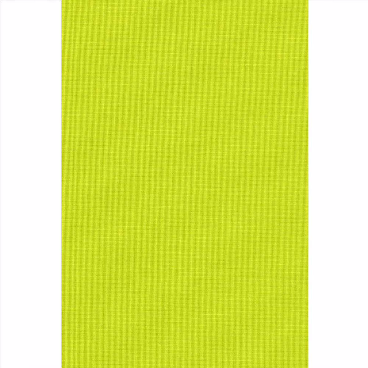 Ramino Roler Skiasis Premium Lime Green 70012-007
