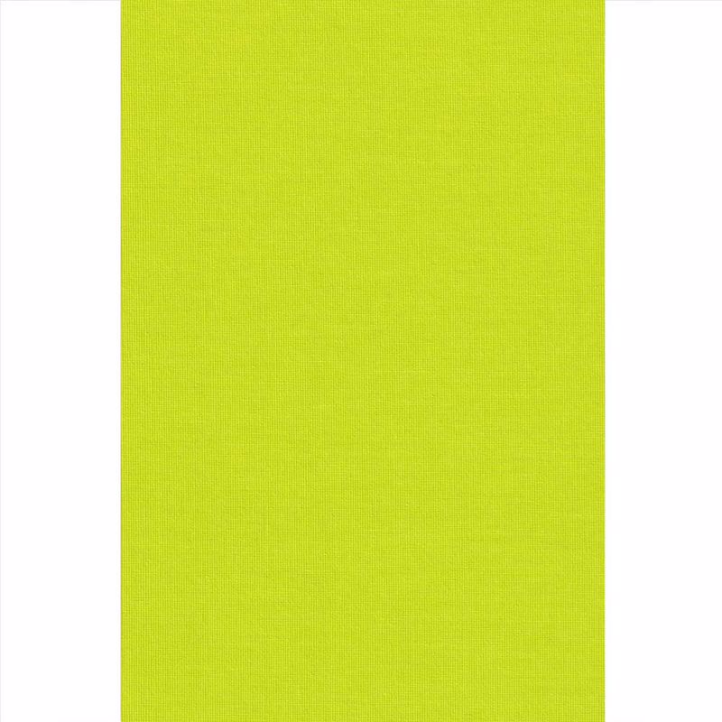 Ramino Roler Skiasis Premium Lime Green 70012-007