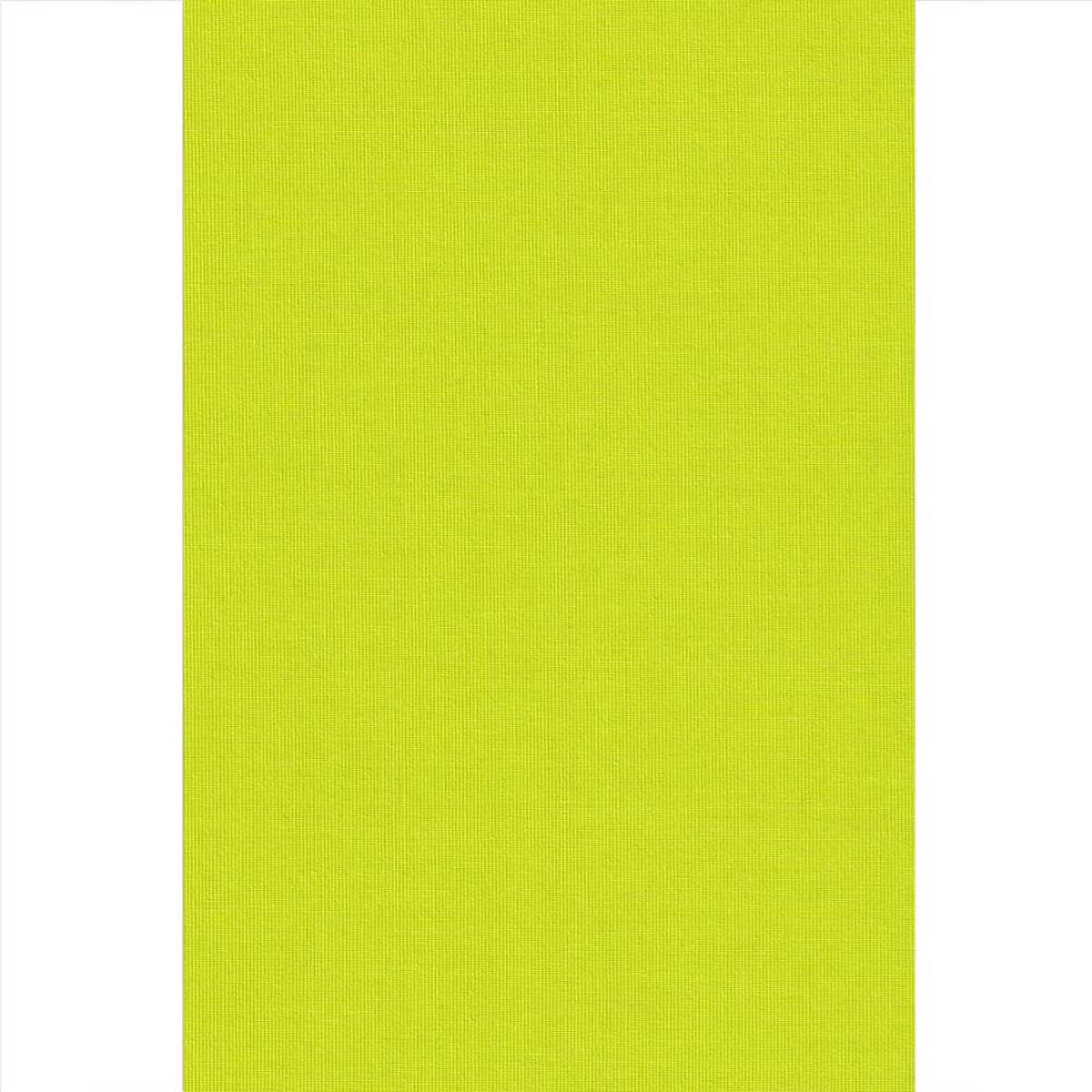 Ramino Roler Skiasis Premium Lime Green 70012-007