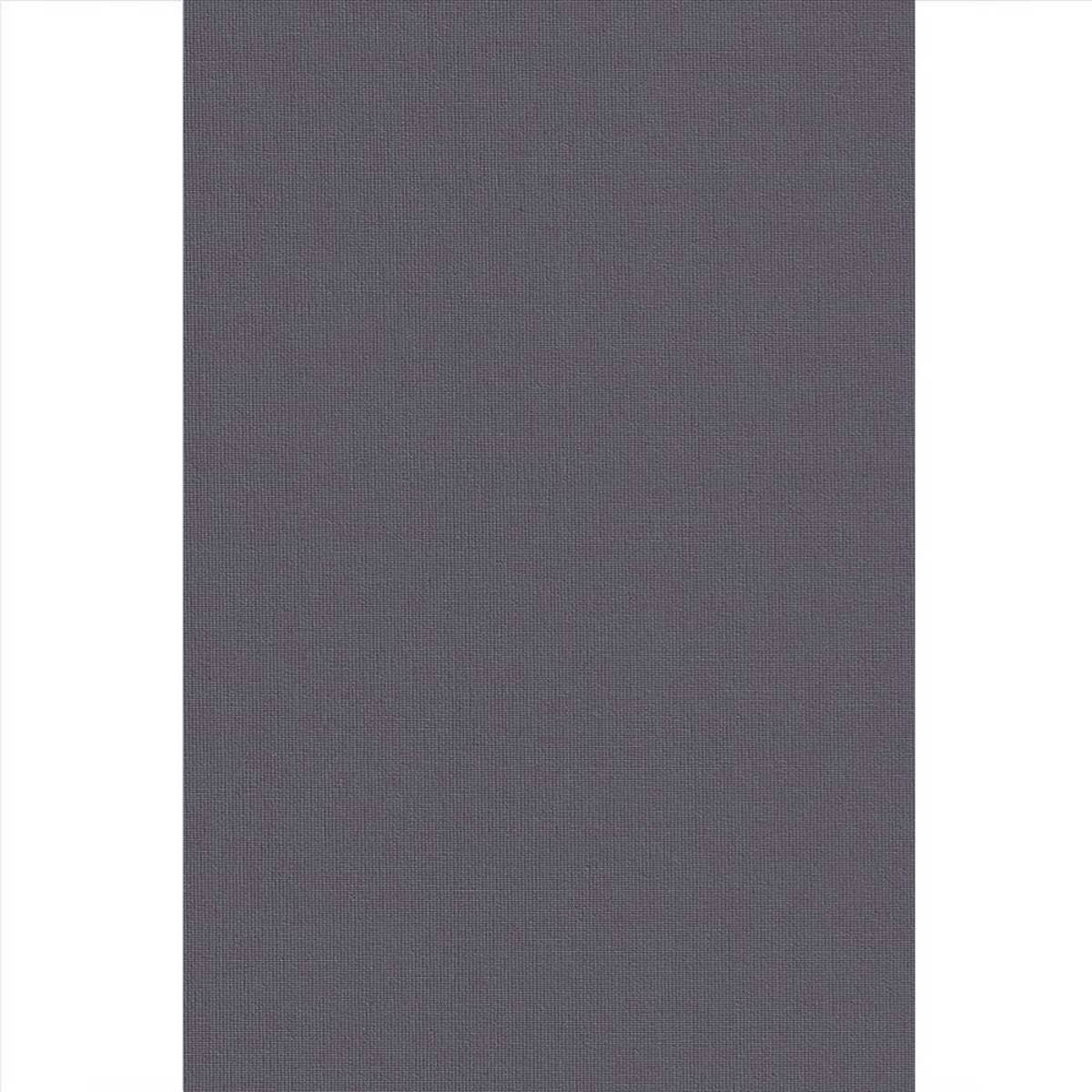 Ramino Roler Skiasis Premium Anthraki 70012-013
