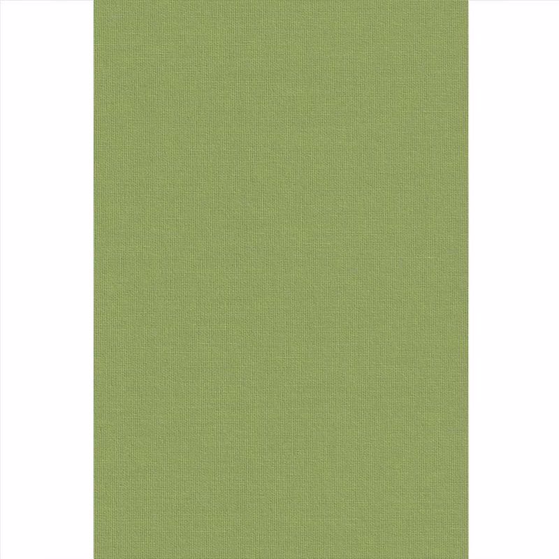 Ramino Roler Skiasis Premium Aktinidio 70012-107